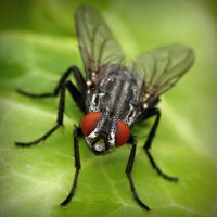 /album/rurdvds/photolia-a01-jpg/