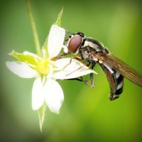 /album/rurdvds/photolia-a02-jpg/