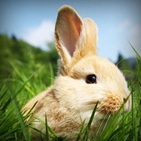 /album/rurdvds/photolia-a03-jpg/