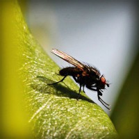 /album/rurdvds/photolia-a04-jpg/