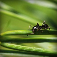 /album/rurdvds/photolia-a05-jpg/