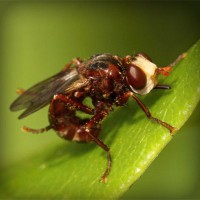 /album/rurdvds/photolia-a06-jpg/