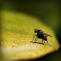 /album/rurdvds/photolia-a07-jpg/