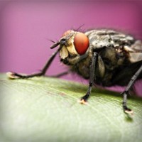 /album/rurdvds/photolia-a08-jpg/